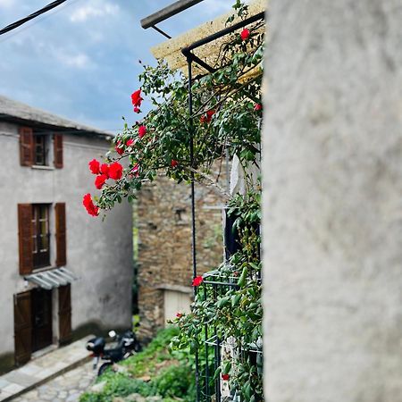 Sisco Tres Jolie Maison Aux Portes Du Cap Corse מראה חיצוני תמונה